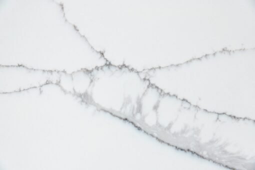 Calacatta Roma Gray - Image 4