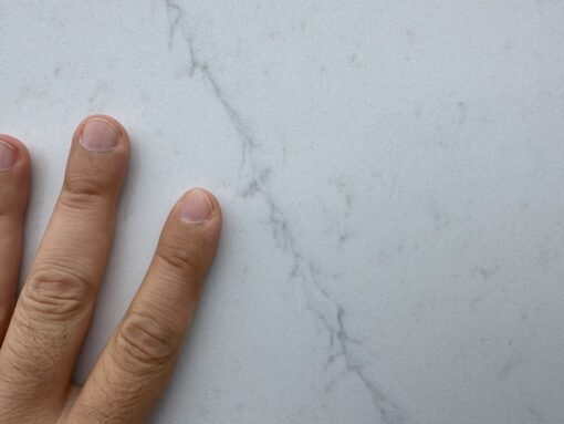 Carrara Bologna - Image 3