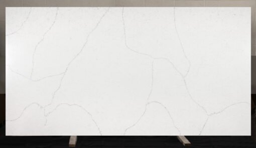 Carrara Bologna