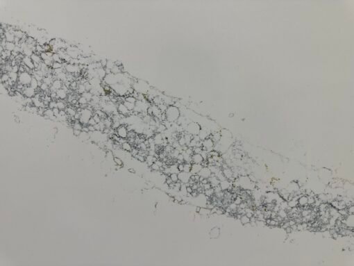 Calacatta Aroma Gold - Image 6