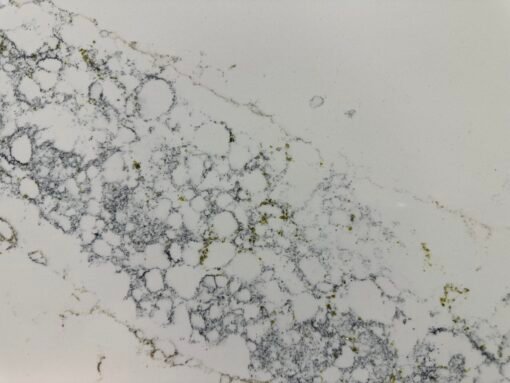 Calacatta Aroma Gold - Image 7